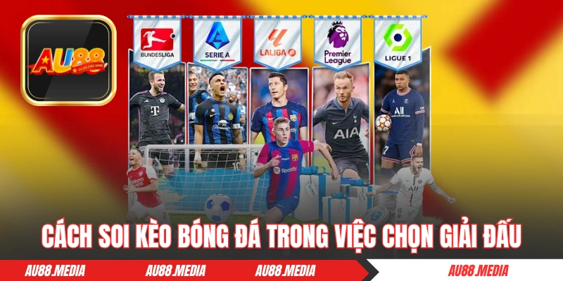 Cách soi kèo bóng đá trong việc chọn giải đấu