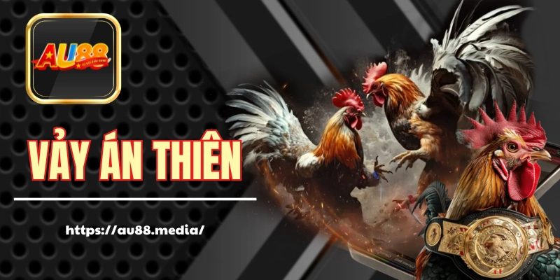 Vảy Án Thiên - “Bảo Vật” Có Giá Của Giới Sư Kê Chuyên Nghiệp